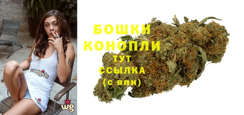 купить наркоту  Бобров  mega ONION  Шишки марихуана White Widow 